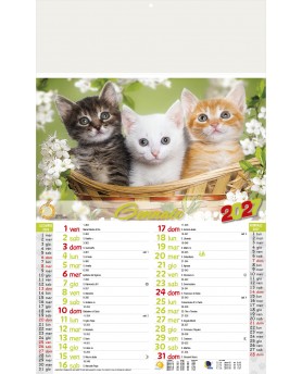 Calendari Illustrati 12 Fogli Cani & Gatti Santa Teresa di Riva - Messina