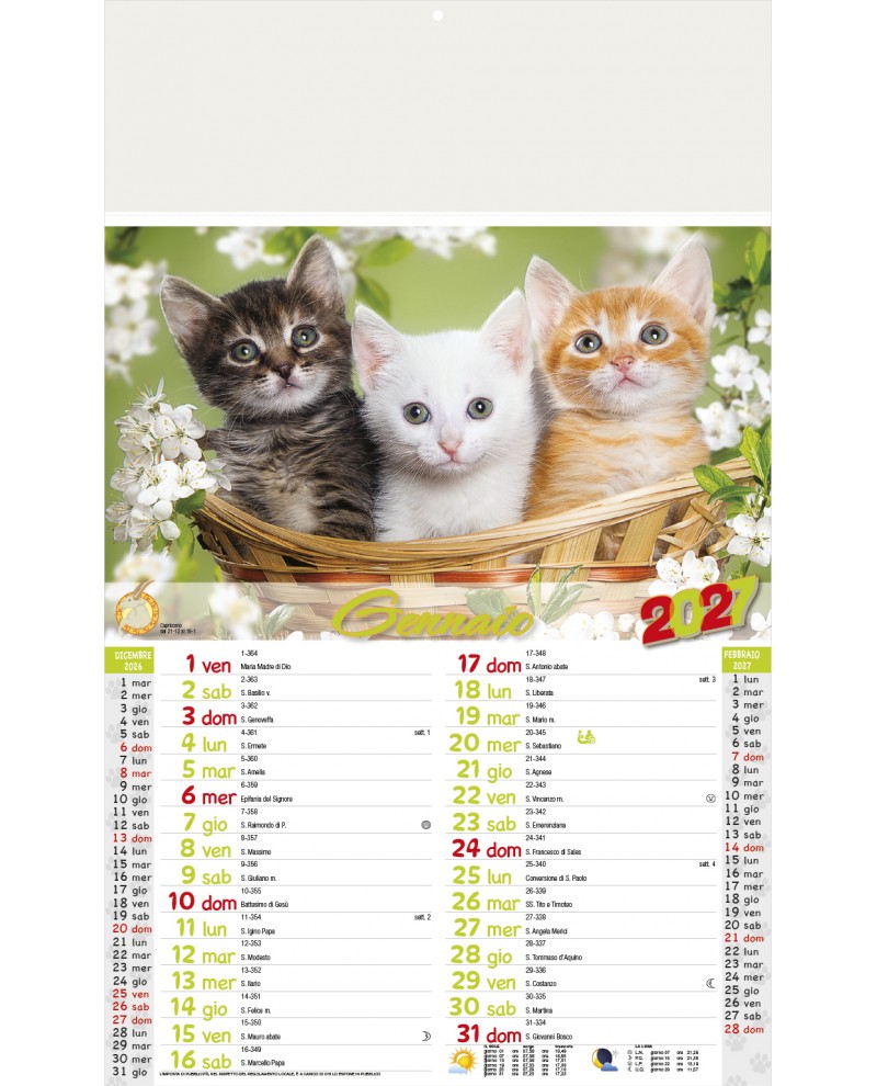 Calendari Illustrati 12 Fogli Cani & Gatti Santa Teresa di Riva - Messina