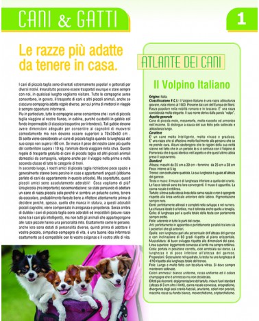Calendari Illustrati 12 Fogli Cani & Gatti Santa Teresa di Riva - Messina