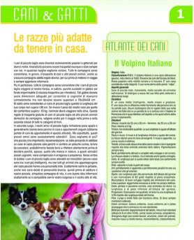 Cani & Gatti