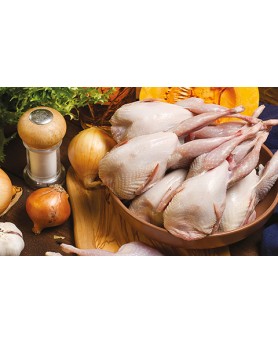 Calendari Illustrati 12 Fogli Carne Santa Teresa di Riva - Messina