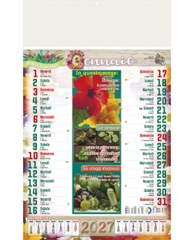 Calendari Illustrati 12 Fogli Orto e Giardino Santa Teresa di Riva - Messina