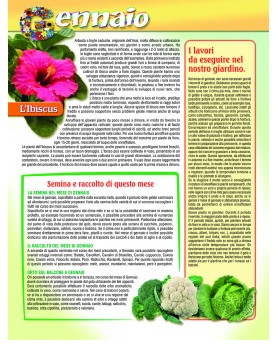 Orto e Giardino