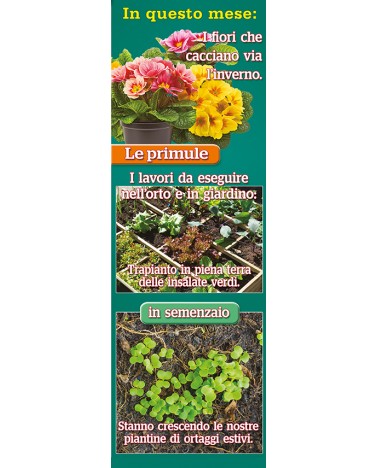 Calendari Illustrati 12 Fogli Orto e Giardino Santa Teresa di Riva - Messina