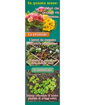 Calendari Illustrati 12 Fogli Orto e Giardino Santa Teresa di Riva - Messina