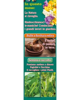 Calendari Illustrati 12 Fogli Orto e Giardino Santa Teresa di Riva - Messina