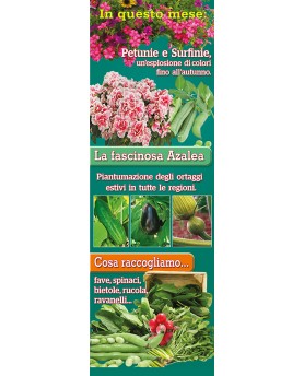 Calendari Illustrati 12 Fogli Orto e Giardino Santa Teresa di Riva - Messina