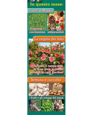 Calendari Illustrati 12 Fogli Orto e Giardino Santa Teresa di Riva - Messina