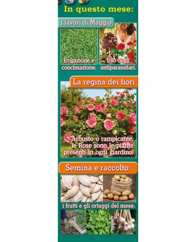 Calendari Illustrati 12 Fogli Orto e Giardino Santa Teresa di Riva - Messina