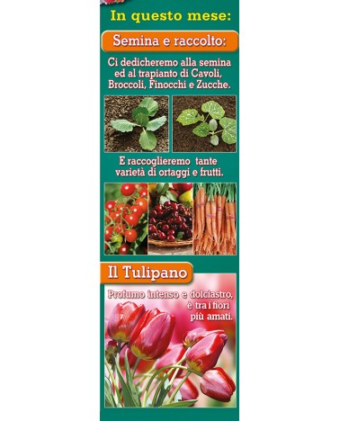 Calendari Illustrati 12 Fogli Orto e Giardino Santa Teresa di Riva - Messina