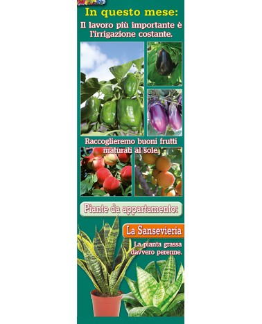 Calendari Illustrati 12 Fogli Orto e Giardino Santa Teresa di Riva - Messina