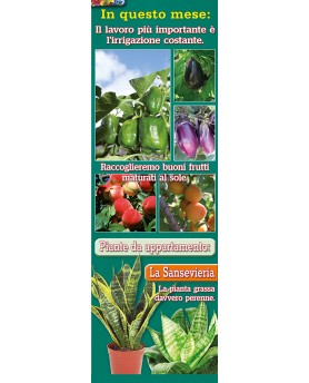 Calendari Illustrati 12 Fogli Orto e Giardino Santa Teresa di Riva - Messina