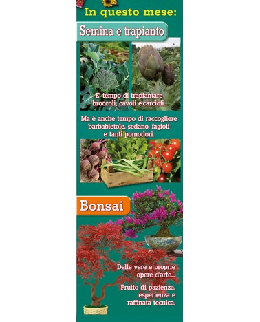 Calendari Illustrati 12 Fogli Orto e Giardino Santa Teresa di Riva - Messina