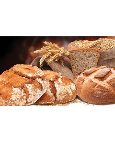Calendari Illustrati 12 Fogli Pane Santa Teresa di Riva - Messina