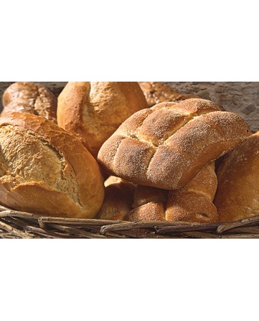 Calendari Illustrati 12 Fogli Pane Santa Teresa di Riva - Messina