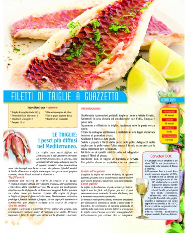 Calendari Illustrati 12 Fogli Pesce Santa Teresa di Riva - Messina