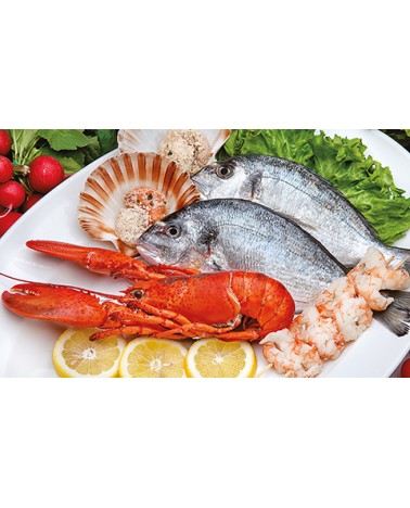 Calendari Illustrati 12 Fogli Pesce Santa Teresa di Riva - Messina