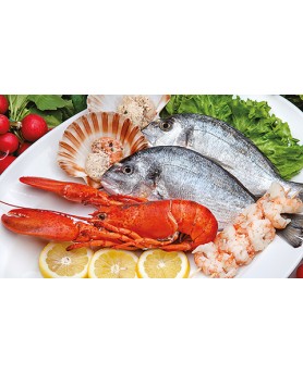 Calendari Illustrati 12 Fogli Pesce Santa Teresa di Riva - Messina