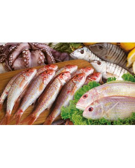 Calendari Illustrati 12 Fogli Pesce Santa Teresa di Riva - Messina