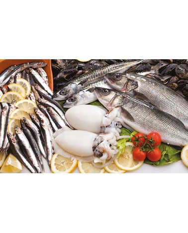 Calendari Illustrati 12 Fogli Pesce Santa Teresa di Riva - Messina