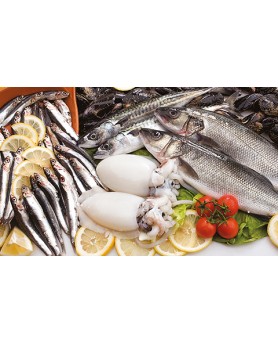 Calendari Illustrati 12 Fogli Pesce Santa Teresa di Riva - Messina