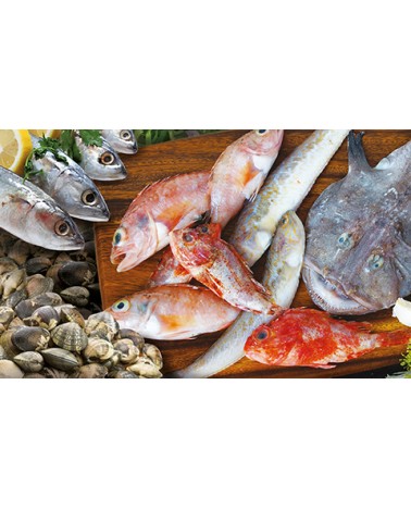 Calendari Illustrati 12 Fogli Pesce Santa Teresa di Riva - Messina