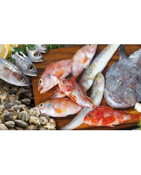 Calendari Illustrati 12 Fogli Pesce Santa Teresa di Riva - Messina