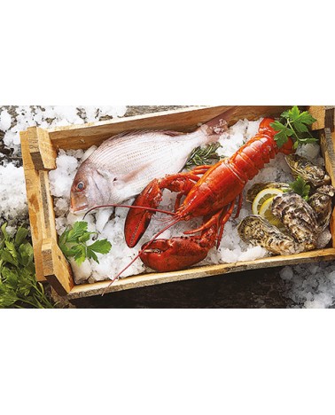 Calendari Illustrati 12 Fogli Pesce Santa Teresa di Riva - Messina