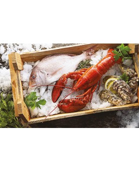 Calendari Illustrati 12 Fogli Pesce Santa Teresa di Riva - Messina
