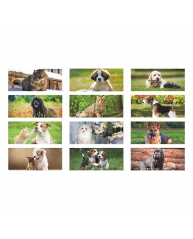 Calendari da Tavolo Cani e Gatti da tavolo Santa Teresa di Riva - Messina